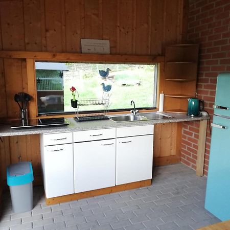 Ferienwohnung Und Sommerhaus Unter Der Burg Falkenberg  Eksteriør bilde
