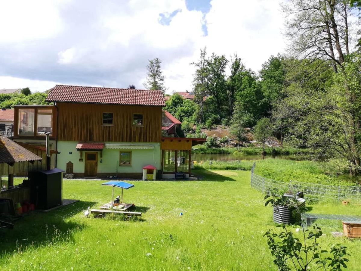 Ferienwohnung Und Sommerhaus Unter Der Burg Falkenberg  Eksteriør bilde