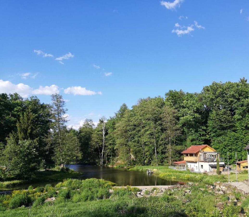 Ferienwohnung Und Sommerhaus Unter Der Burg Falkenberg  Eksteriør bilde
