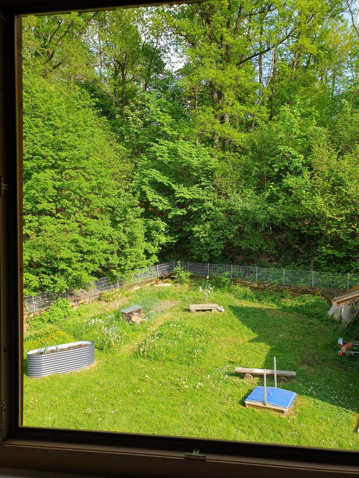 Ferienwohnung Und Sommerhaus Unter Der Burg Falkenberg  Eksteriør bilde